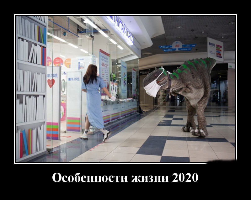 Podborka luchshikh demotivatorov 524 023